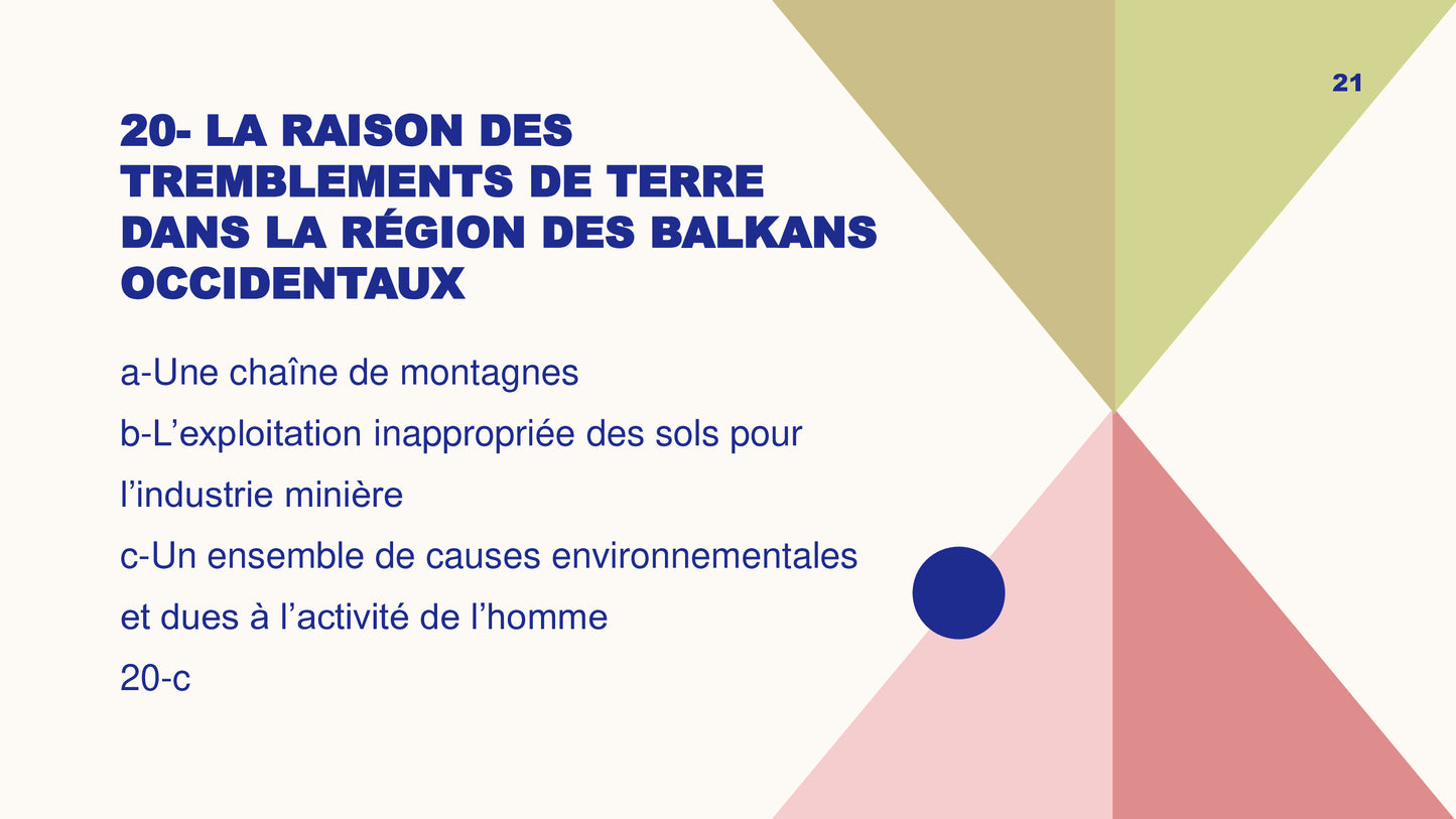 Questionnaire niveau 1: Jeu Lead'up Green