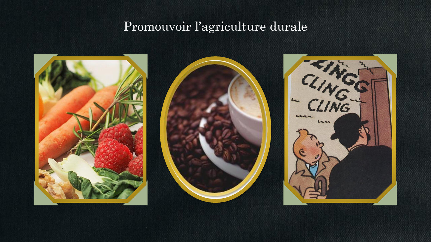 Le charismatique (Jeu Lead'up Green)