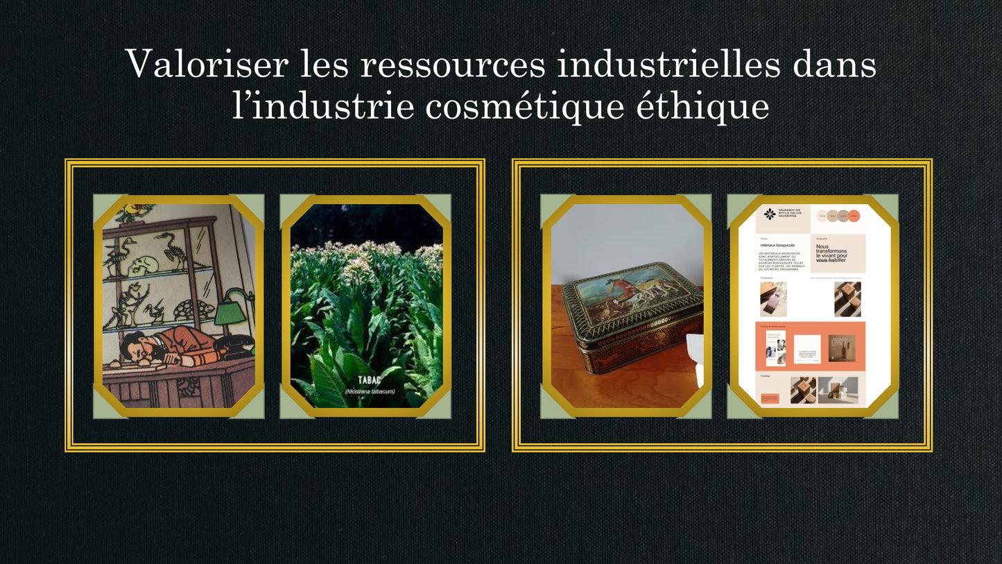 Le charismatique (Jeu Lead'up Green)