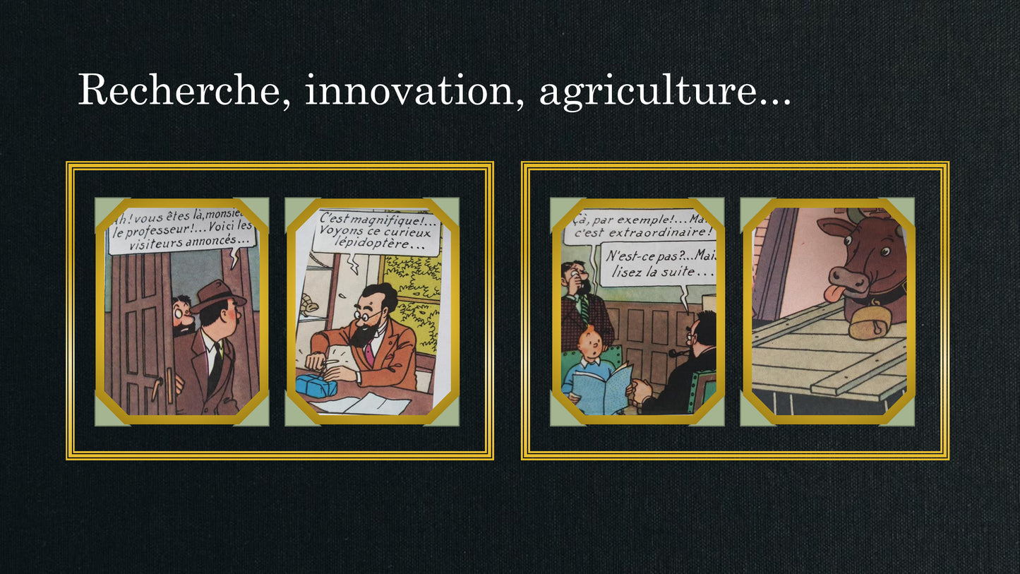 Le financier (Jeu Lead'up Green)