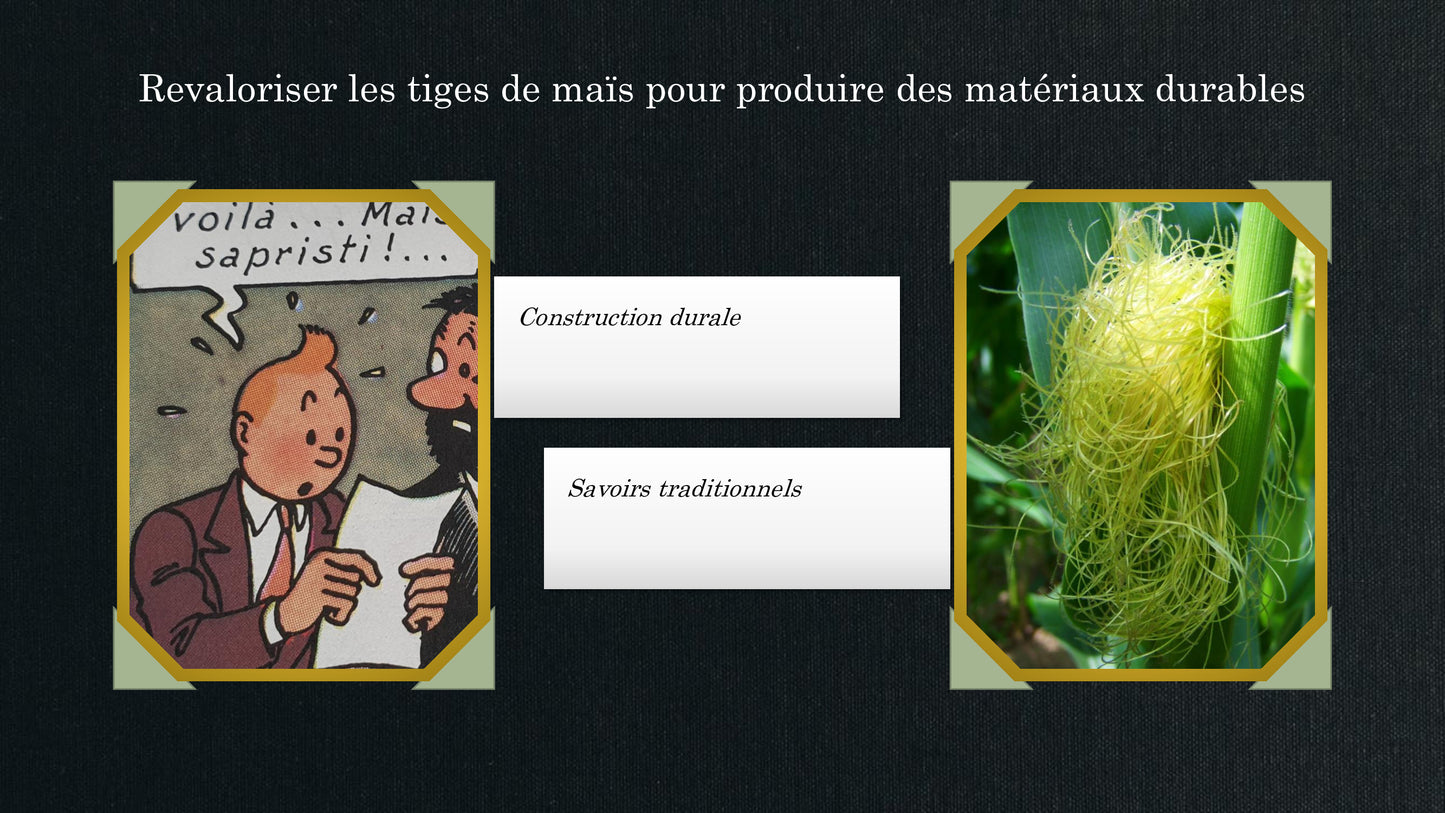 L'idéaliste version numérique (Jeu Lead'up green)