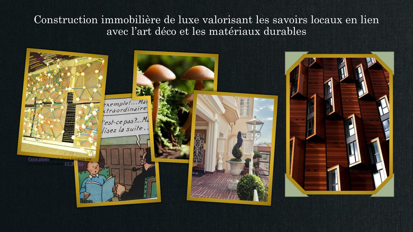 L'idéaliste version numérique (Jeu Lead'up green)