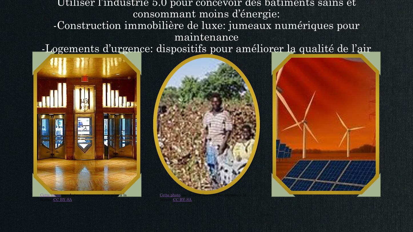 L'idéaliste version numérique (Jeu Lead'up green)