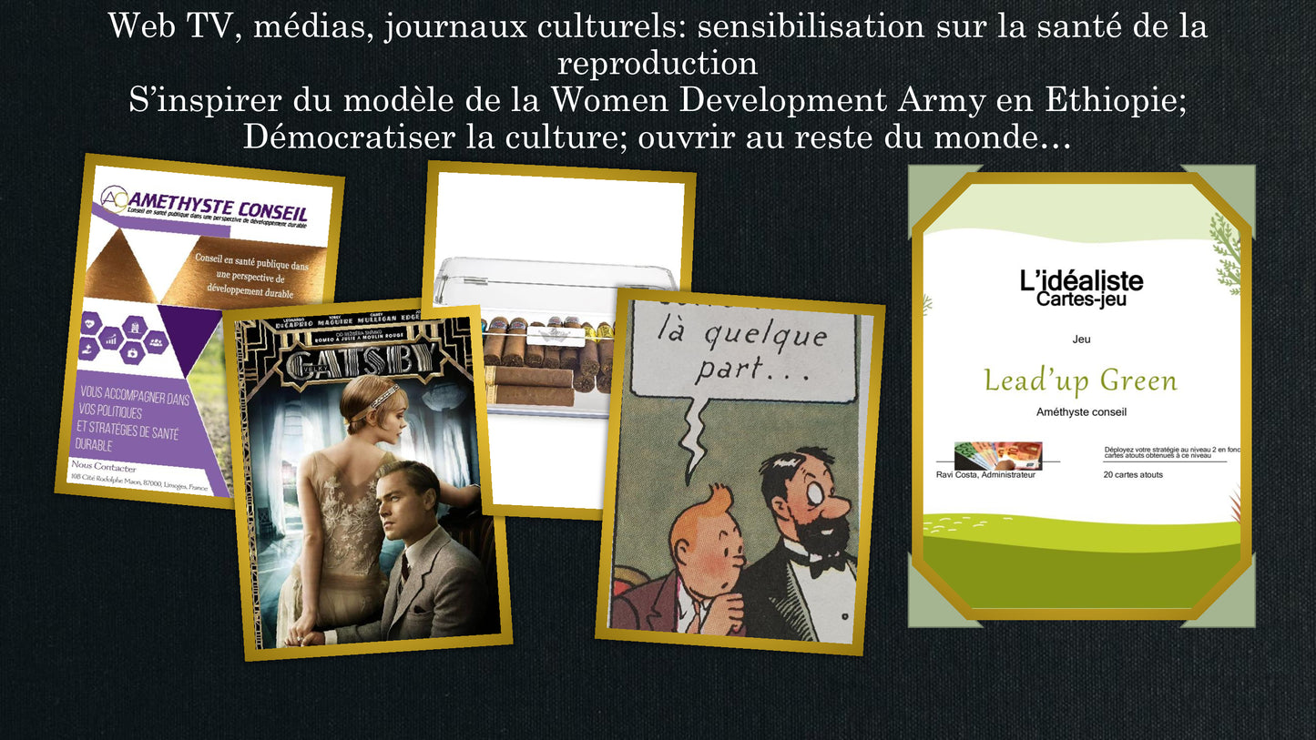 L'idéaliste version numérique (Jeu Lead'up green)