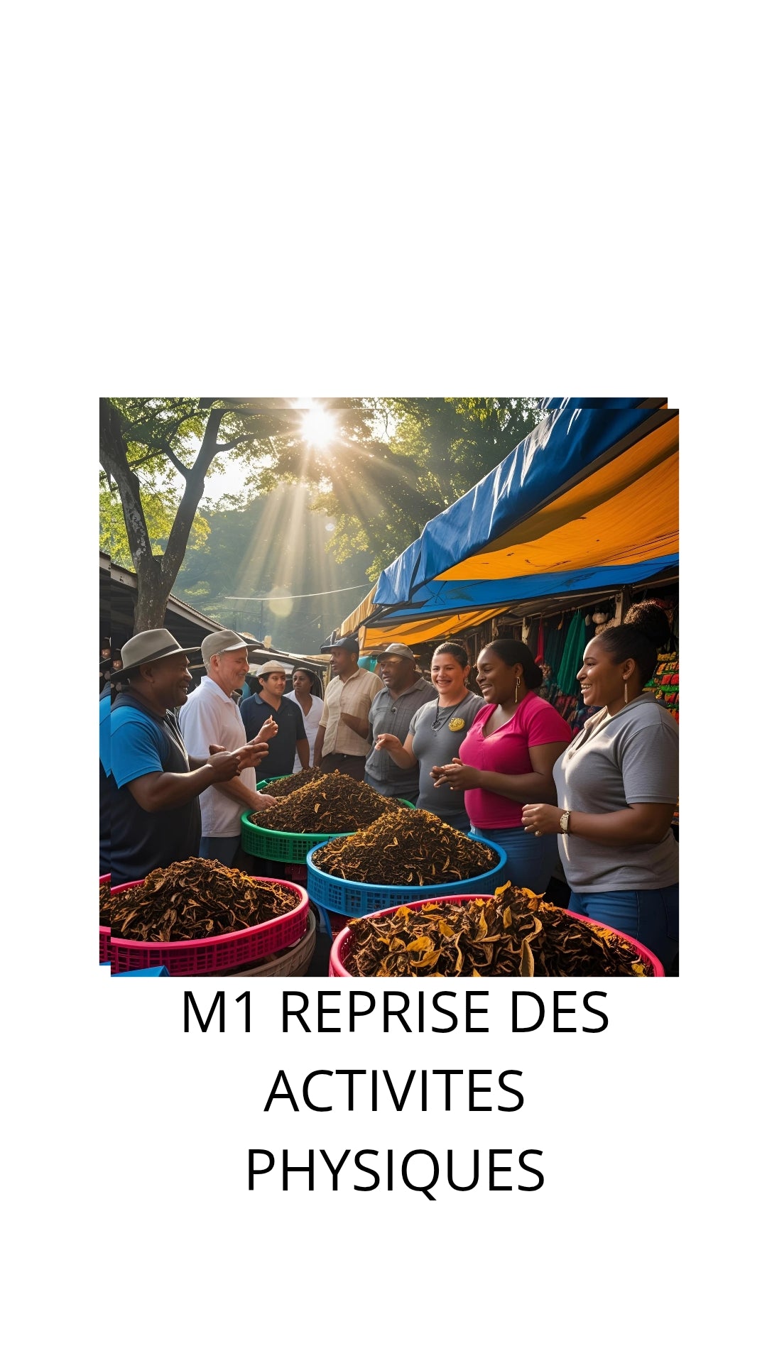 Outil 6 Version améliorée