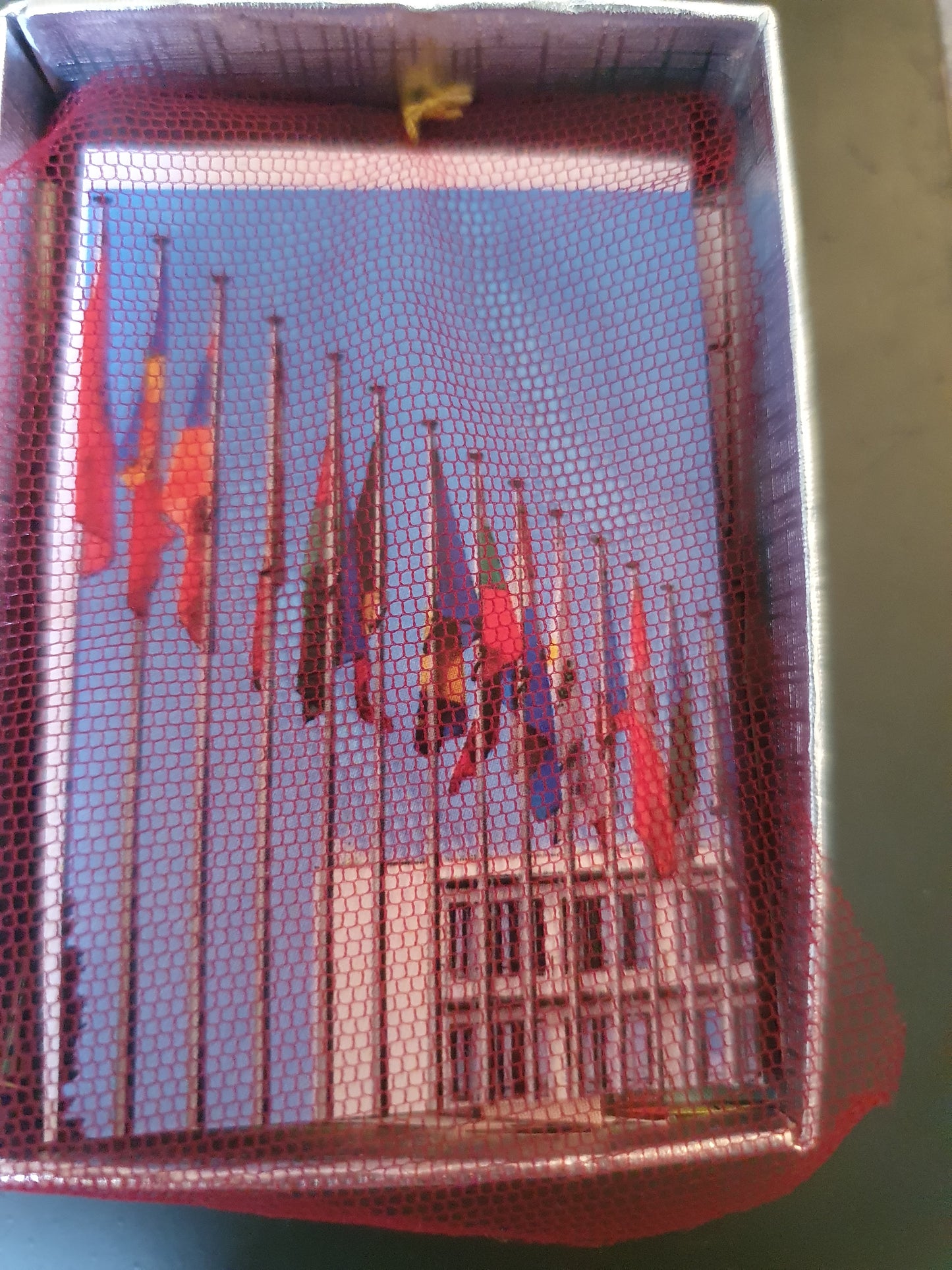 Le financier (Jeu Lead'up Green)