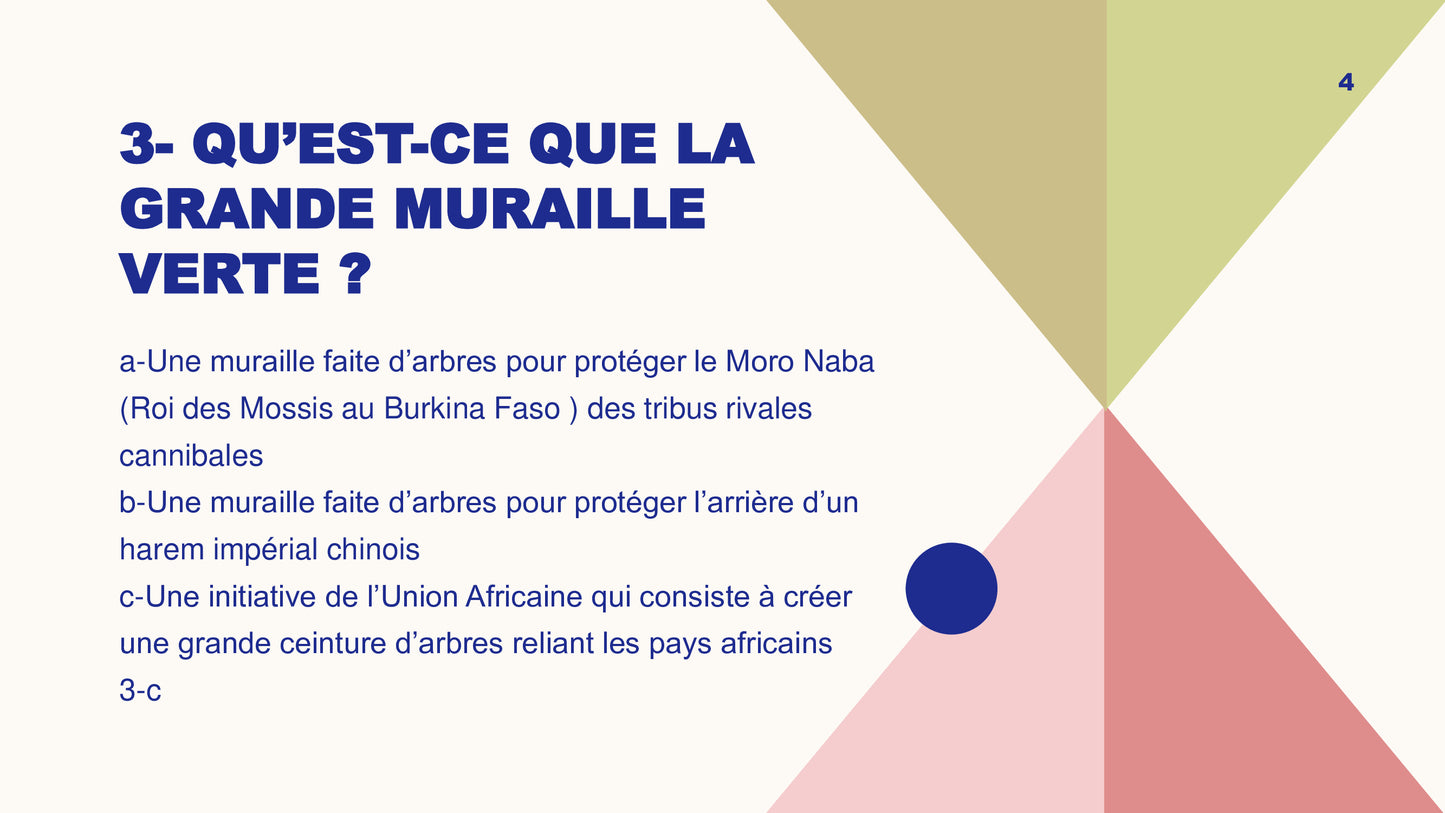 Questionnaire niveau 1: Jeu Lead'up Green