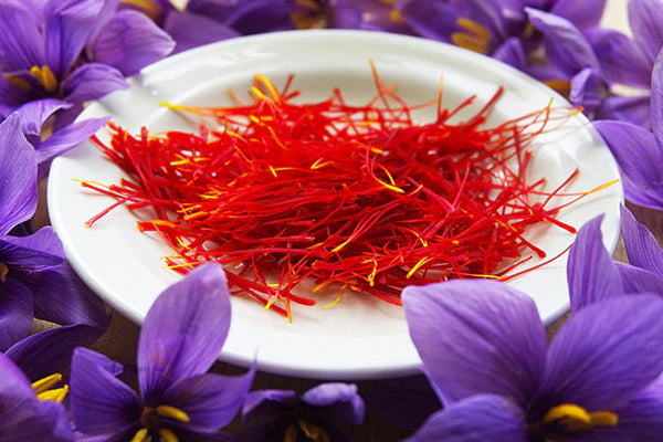 Fichiers numériques pour décideurs en santé (Feuillets d'application, outils)